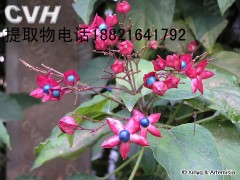 越橘提取物原花青素图1