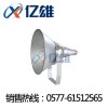 ZY8300只专注照明CNT9150A·ZY8300投光灯