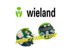 天津赛力斯优价供应德国Wieland模拟模块图1