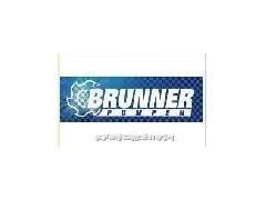 宁波金晟杰优价供应BRUNNER泵图1