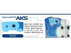 AKS603 意大利赛高SEKO计量泵图1