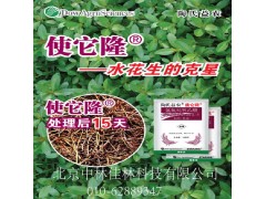 使它隆除草剂美国陶氏益农出品水花生除草剂田旋花除草剂图1