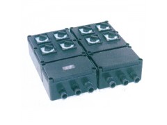 BXM(D)8050-系列防爆防腐照明动力配电箱
