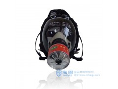 海固800球型大视野防毒面具+A型3号滤毒罐