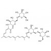 供应西红花苷  42553-65-1