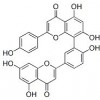 供应穗花杉双黄酮  1617-53-4