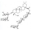 常春藤苷C性质   常春藤苷C供应