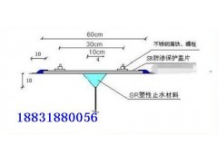 SR防渗盖片图1