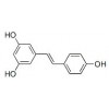 供应白藜芦醇  501-36-0