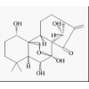 供应冬凌草甲素  28957-04-2