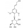 供应紫丁香酚苷  118-34-3