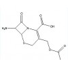 7-ACA（7-氨基头孢烷酸）