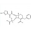 头孢他啶|原料药|价格