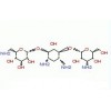 单禁发 硫酸卡拉霉素
