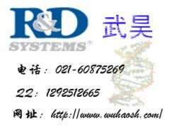 Human ABCC5 ELISA Kit图1