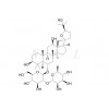 拟人参皂苷F11 CAS:69884-00-0