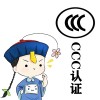 山东省淄博市申报CCC认证的程序