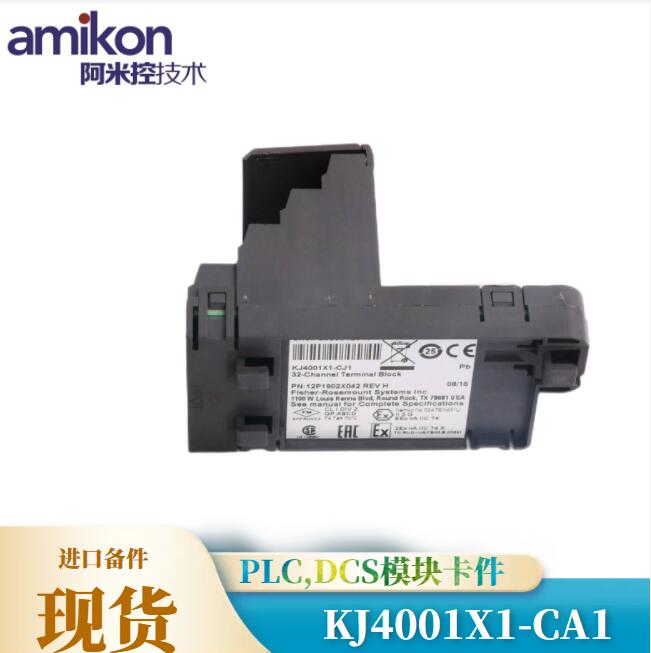 EMERSON,KJ4001X1-CA1（4）