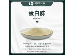 蛋白胨Y001C 工业生化培养基原料 食用菌液体菌种培养图2