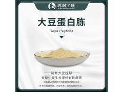 大豆蛋白胨Y005B 生化级 干粉培养基 生化试剂 生物菌图2