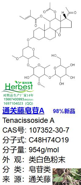 通关藤皂苷A_副本