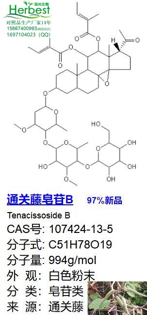 通关藤皂苷B_副本