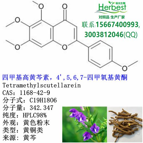 四甲基高黄芩素_副本