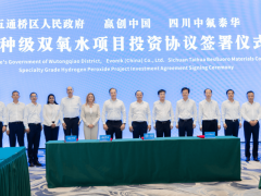 五通桥区人民政府、赢创工业集团与福华化学举行特种级双氧水项目签约仪式