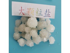 工业盐大颗粒日晒盐氯化钠 锅炉水处理热敷用大颗粒盐氯化钠